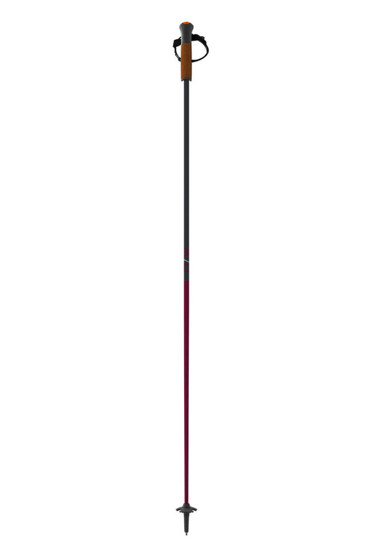 One Way ski poles, black and purple