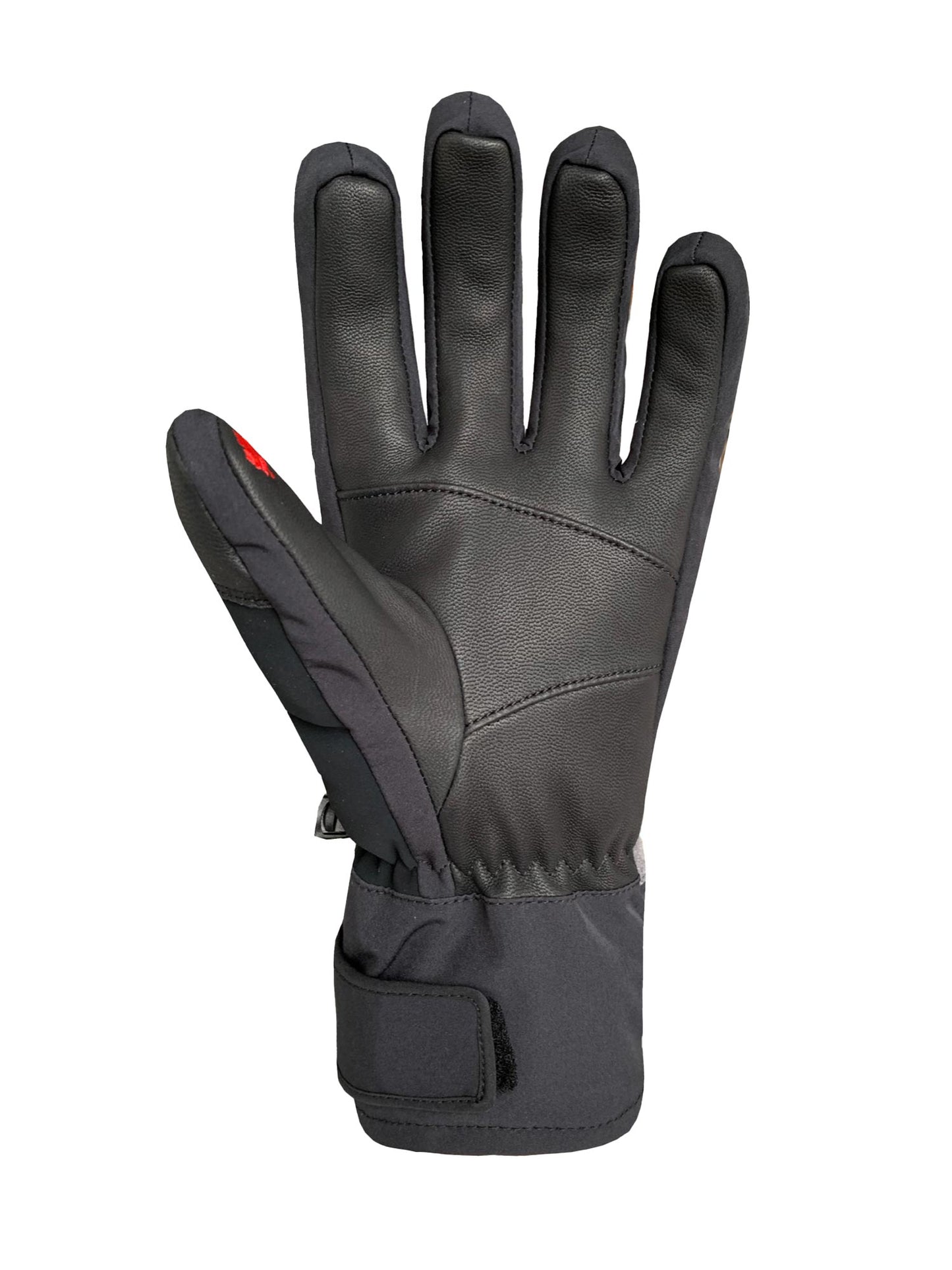 Auclair Avalanche Glove - Men's
